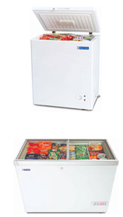 Blue Star Deep Freezer